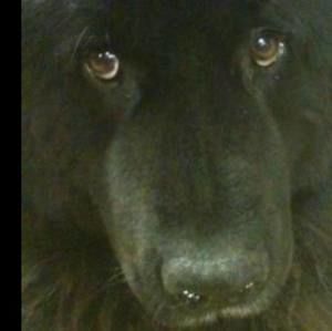 Meet your Posher, Shawn